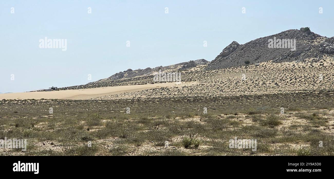 Paysage avec des couleurs contrastées, vegitations vs. sable du désert, Oman - Image de stock capturée avec un smartphone