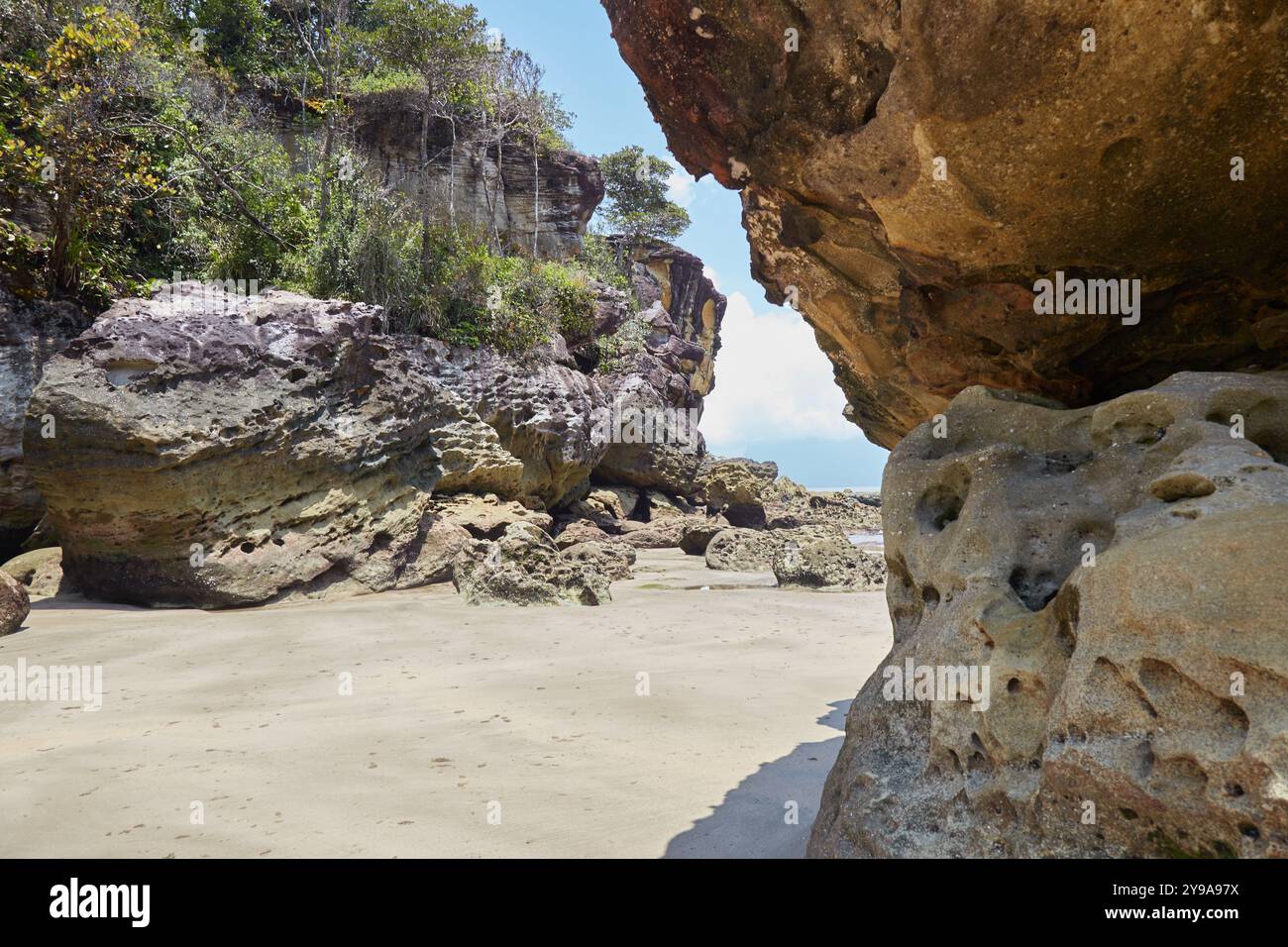 En plus de ses plages pittoresques et de ses sentiers naturels, le parc national de Bako est l'un des meilleurs endroits de Bornéo pour observer la faune. Son plus notab Banque D'Images