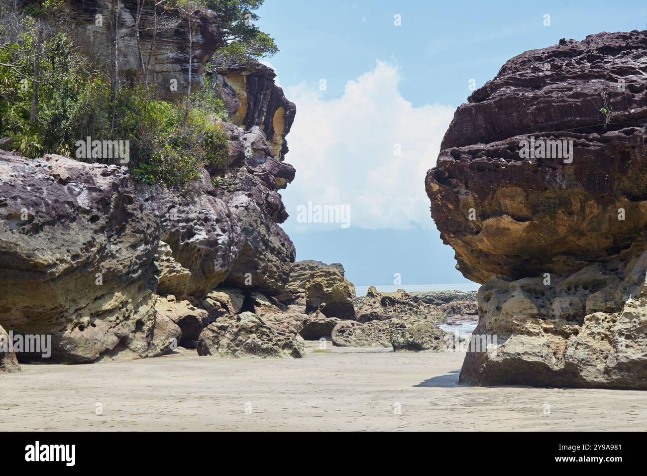 En plus de ses plages pittoresques et de ses sentiers naturels, le parc national de Bako est l'un des meilleurs endroits de Bornéo pour observer la faune. Son plus notab Banque D'Images