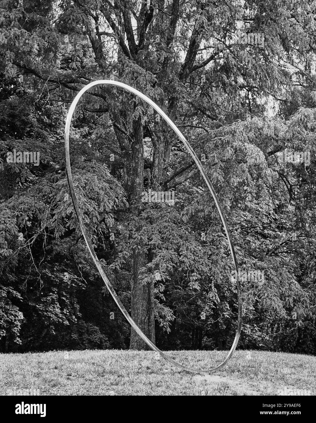 DeCordova sculpture Park - Lincoln, Massachusetts - Un anneau métallique semble planer au-dessus du sol encerclant un arbre en arrière-plan. Capturé o Banque D'Images