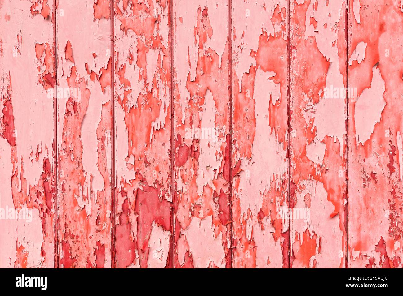 Peinture qui se décolle de la porte en bois rose Banque D'Images