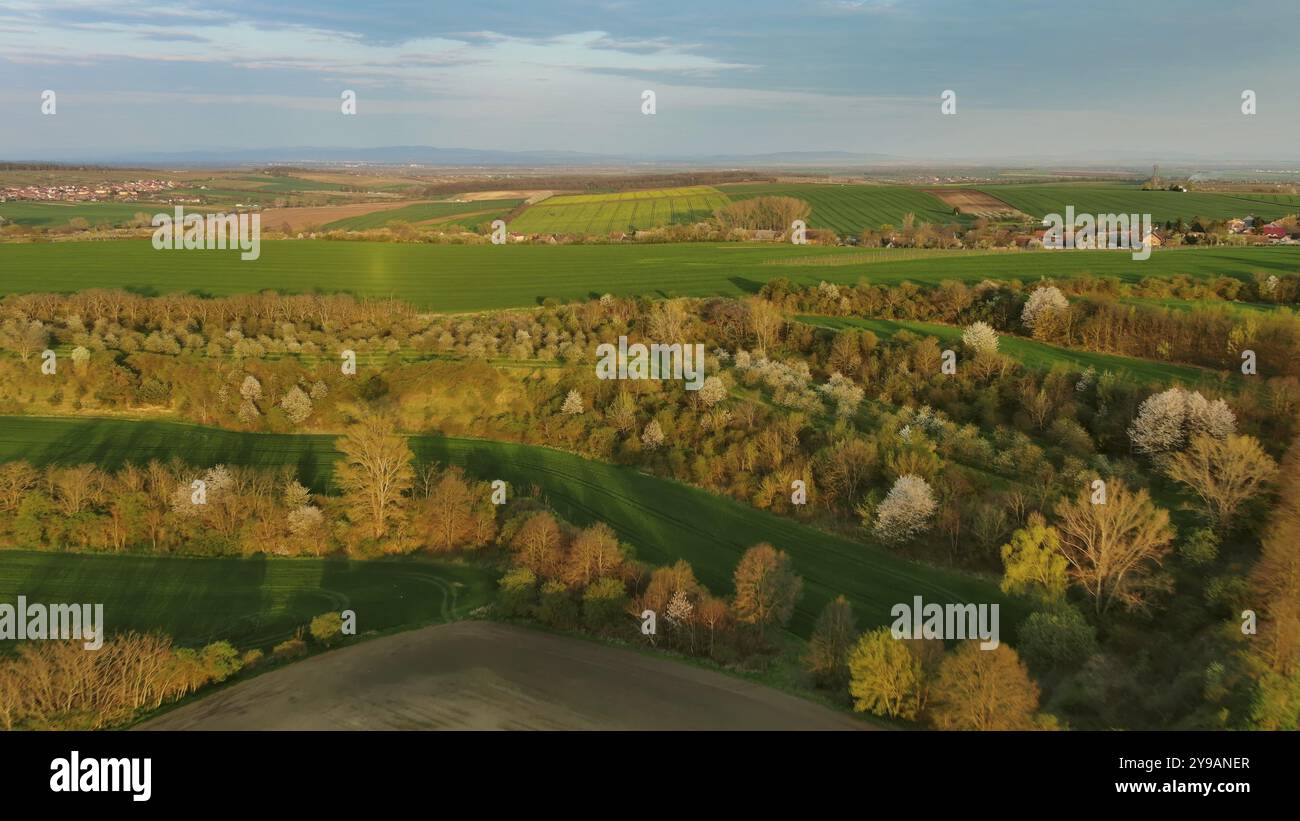 Vue aérienne des collines ondulées vertes étonnantes avec des champs agricoles dans le printemps soir. Moravie du Sud, République tchèque, Europe Banque D'Images