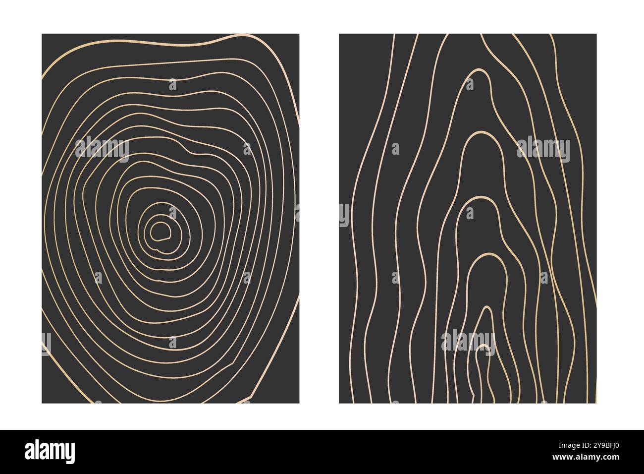 Collection d'anneaux d'arbre à ligne mince dorée. Cercle élégant de texture de section en bois doré. Contour de grille géographique de carte topographique. Lignées de bois. Illustration vectorielle Illustration de Vecteur