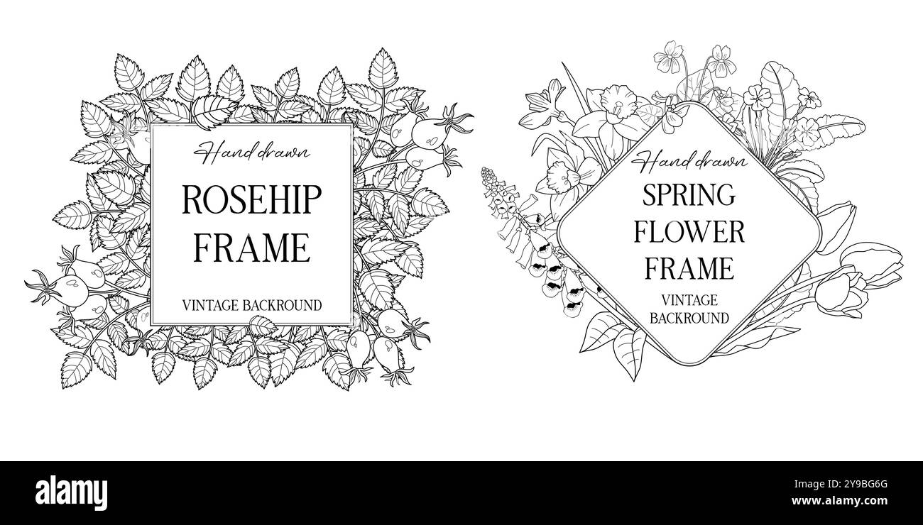 Cadres botaniques dessinés à la main avec des feuilles et des fleurs. Illustration vectorielle dans le style d'esquisse isolé sur blanc. Élément réaliste de conception de forêt. Espace pour Illustration de Vecteur