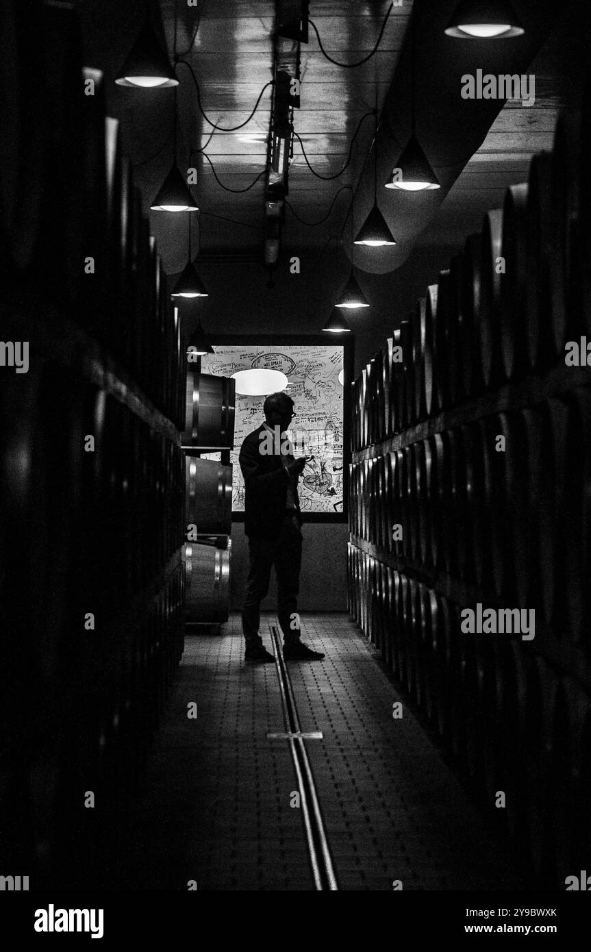 BAROLO, ITALIE – 21 OCTOBRE 2022 : des experts analysent le niveau de fermentation du vin en fûts de chêne, assurant des conditions optimales pour le processus de vieillissement Banque D'Images