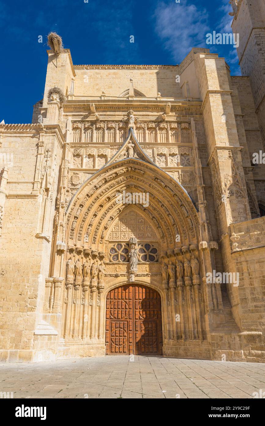 Vue en bas angle de la façade sud de la cathédrale catholique dans le style gothique de Palencia dans la région de Castilla y León, Espagne Banque D'Images