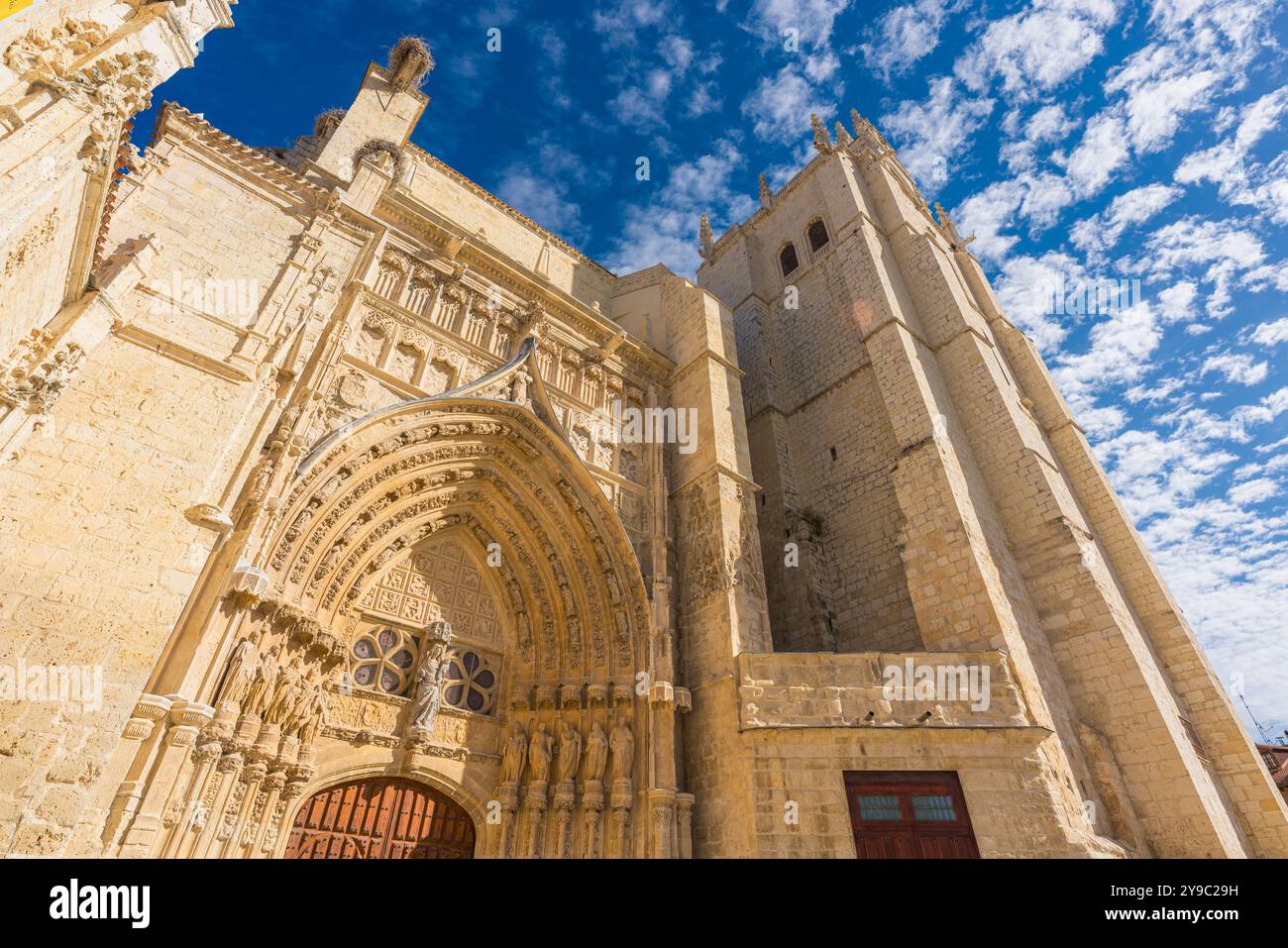 Vue en bas angle de la façade sud de la cathédrale catholique dans le style gothique de Palencia dans la région de Castilla y León, Espagne Banque D'Images