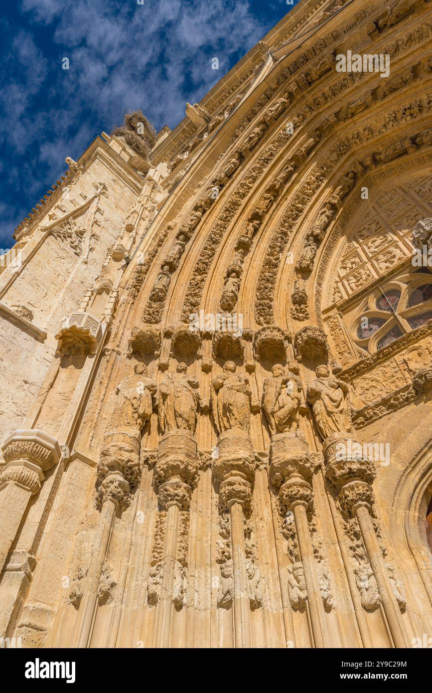 Vue en bas angle de la façade sud de la cathédrale catholique dans le style gothique de Palencia dans la région de Castilla y León, Espagne Banque D'Images