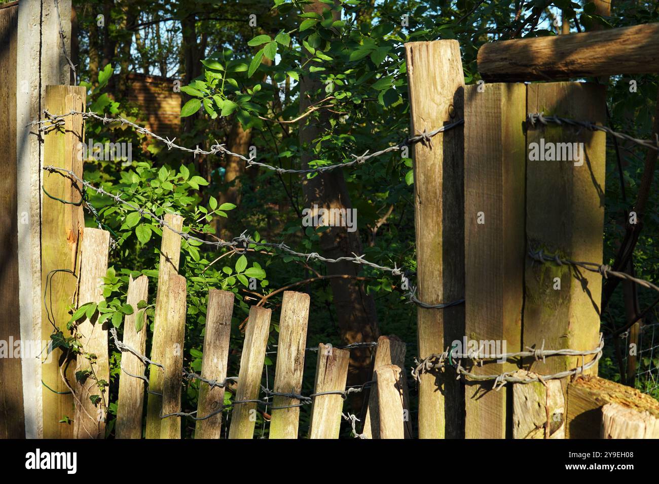 Fil de fer barbelé sur une clôture en bois délabrée utilisée comme moyen de dissuasion contre les cambrioleurs pour protéger une maison de propriété Banque D'Images