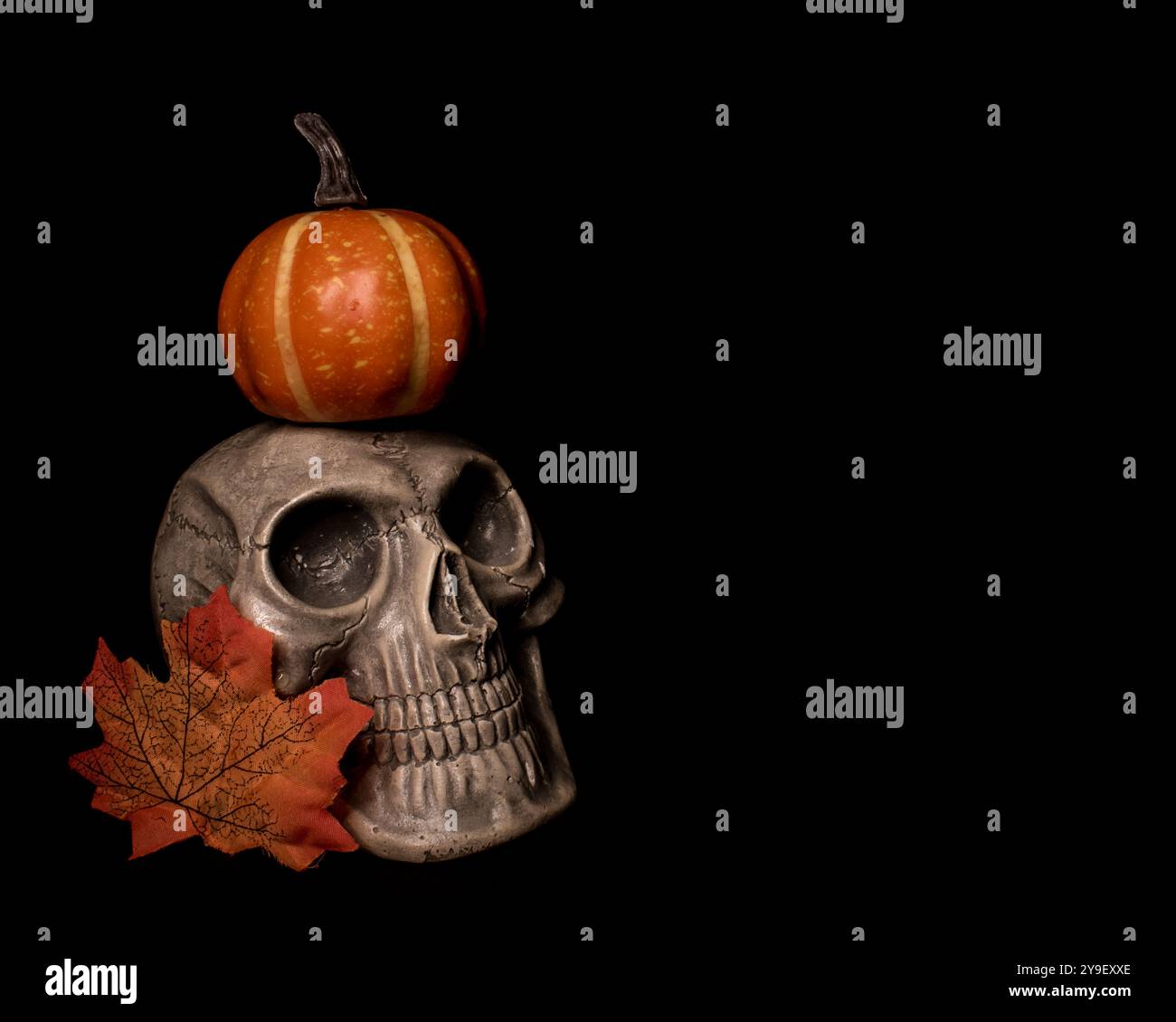 Crâne humain isolé avec petite citrouille sur sa tête sur fond noir, papier peint halloween, memento mori, jour des morts, macabre, santa muerte Banque D'Images