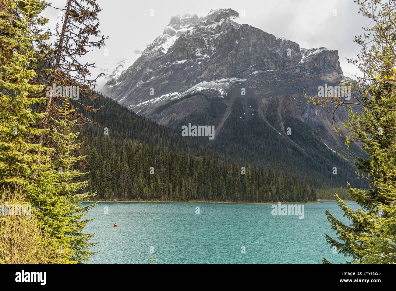 Superbes scènes de la nature à Emerald Lake, parc national Yoho pendant l'été avec canot rouge en vue sur l'eau turquoise, énorme sommet de montagne et boréal Banque D'Images