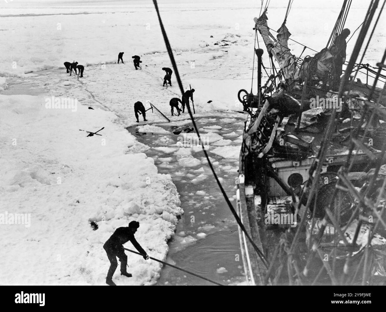 ERNEST SHACKLETON (1874-1922) explorateur anglo-irlandais de l'Antarctique. Membres de l'équipage travaillant pour libérer l'Endurance de la banquise. Photo : Frank Hurley Banque D'Images ERNEST SHACKLETON (1874-1922) explorateur anglo-irlandais de l'Antarctique. Membres de l'équipage travaillant pour libérer l'Endurance de la banquise. Photo : Frank Hurley Banque D'Images