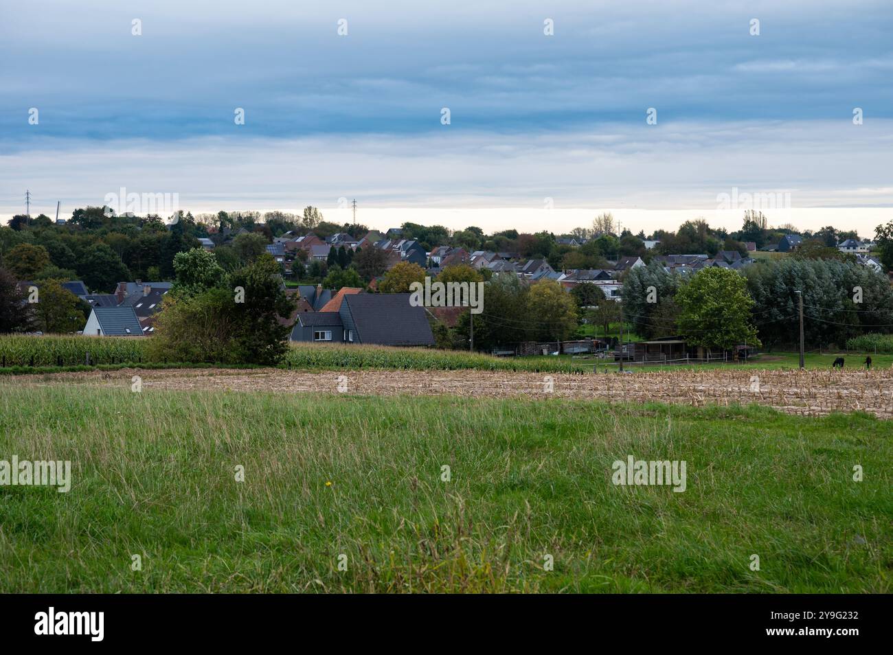 Collines verdoyantes à la campagne flamande avec maisons résidentielles à Erpe-Mere, Flandre orientale, Belgique Banque D'Images