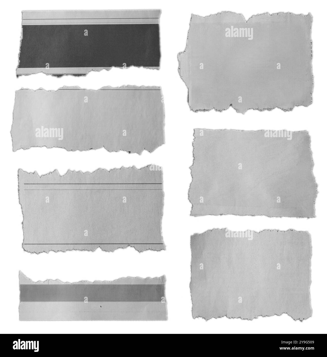 Sept morceaux de papier déchiré sur fond blanc Banque D'Images