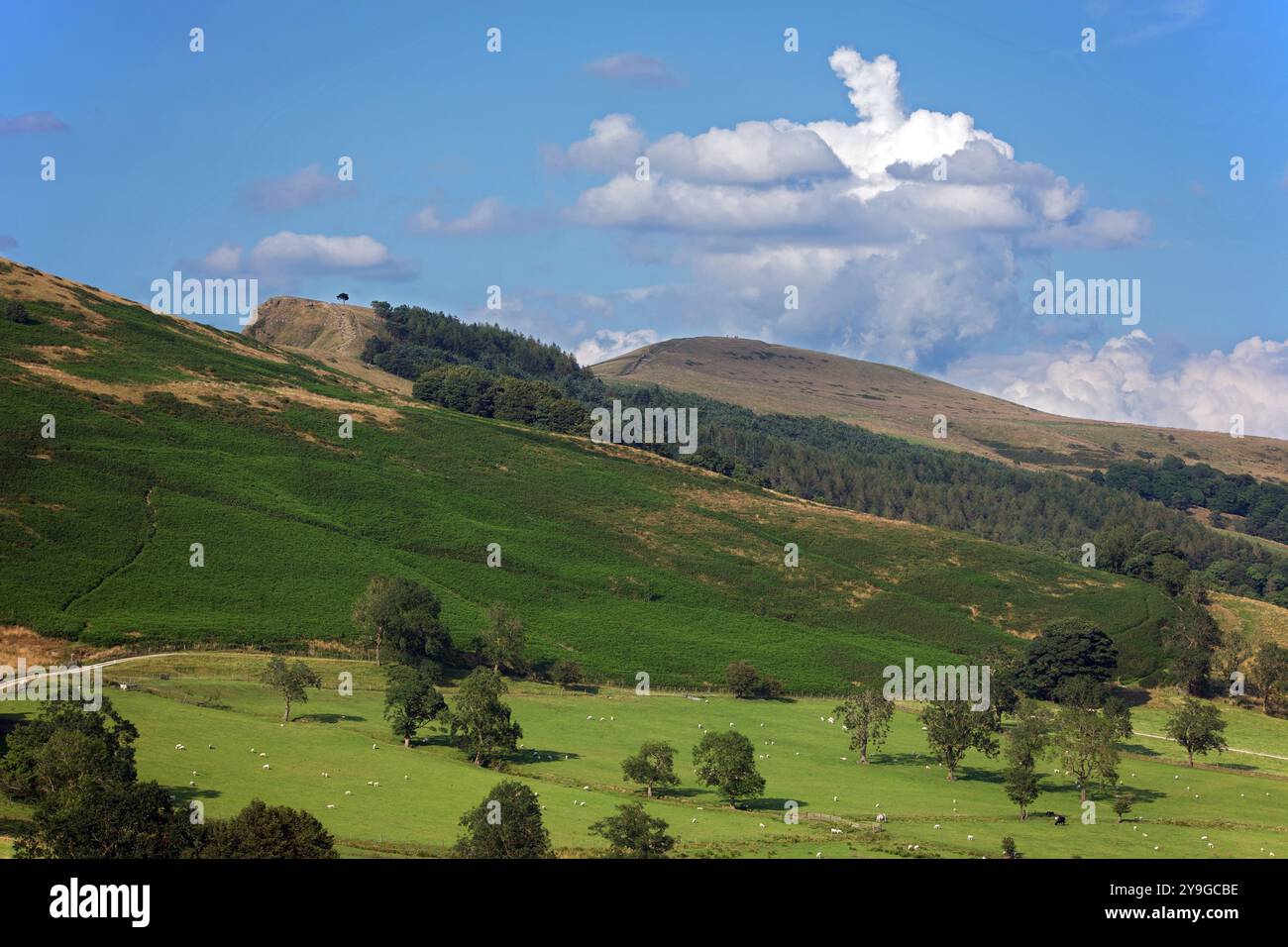 Black Tor et Lose Hill sont deux sommets sur le Derwent Edge dans le Derbyshire Peak District. Black Tor est un affleurement de gritstone. Banque D'Images