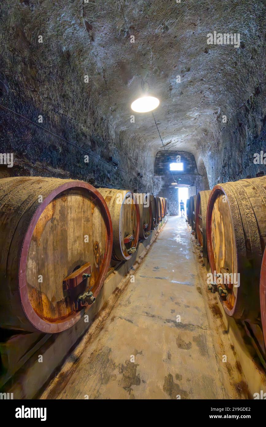 Cave à vin dans Château de Breze (Château de Breze), pays de la Loire, France Banque D'Images