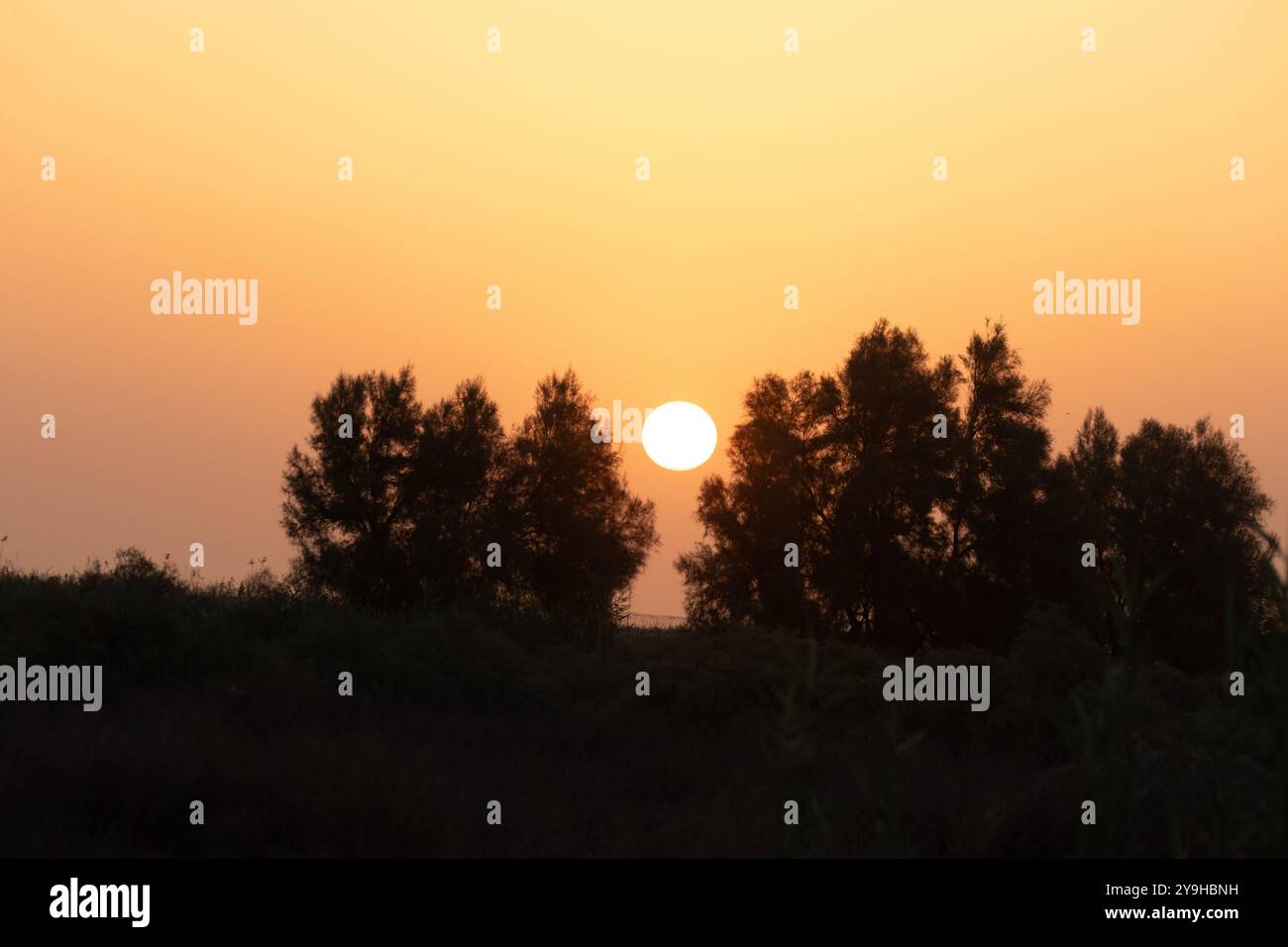 Beau lever de soleil avec un bon fond près de la mer d'Arabie au Koweït Banque D'Images