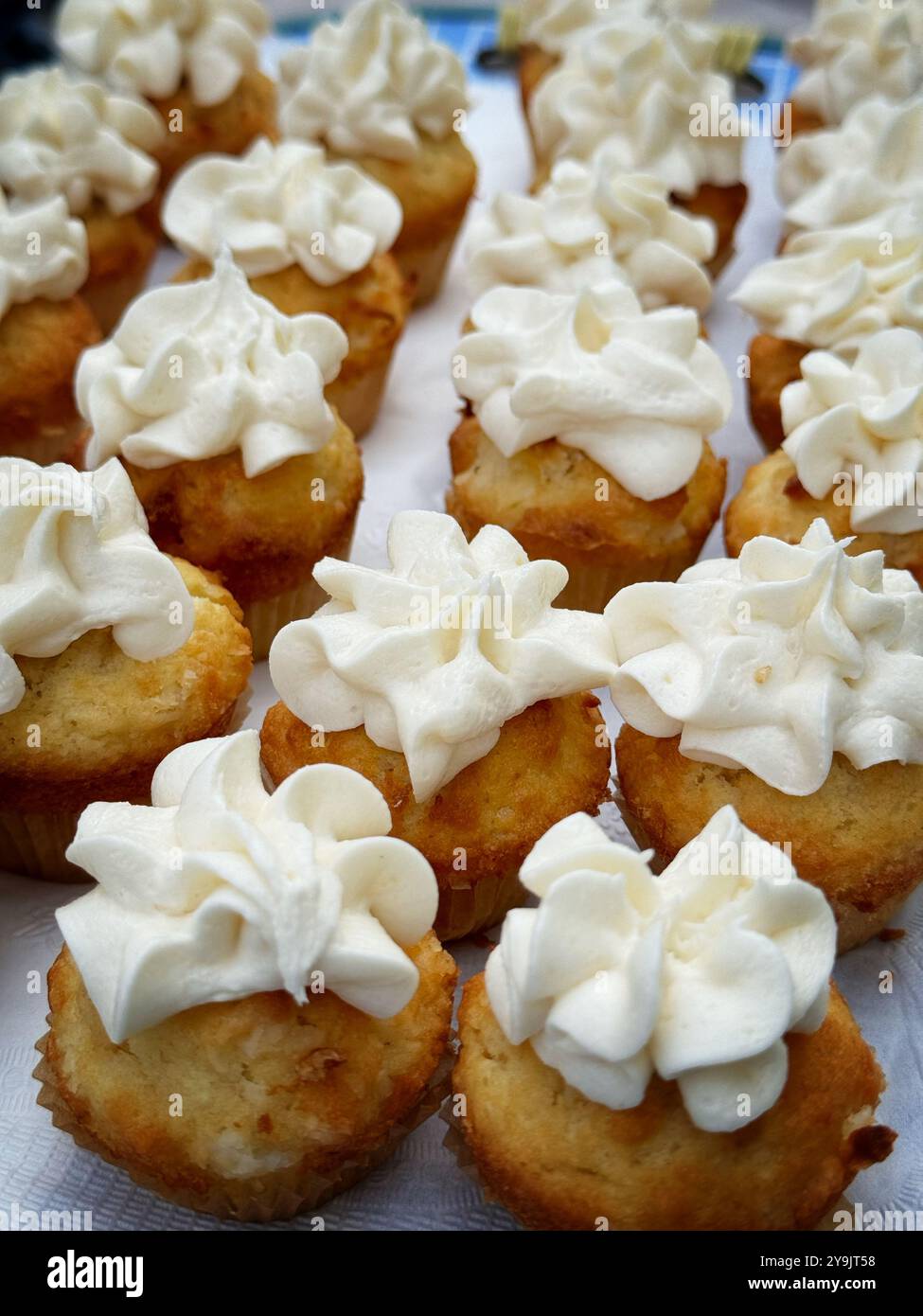 Foire de pique-nique Potluck lors d'une fête de quartier à Berkeley, Californie. Banque D'Images