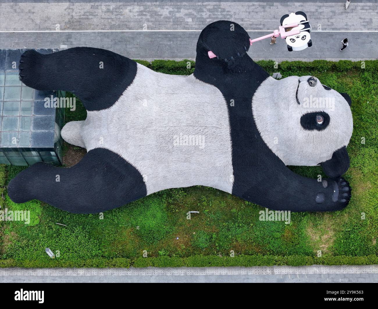 A view of 26-meter-long sculpture of a giant panda, lying on the lawn, taking selfies with a panda-shaped phone, in Dujiangyan city in southwest China's Sichuan province Wednesday, Oct. 09, 2024. It claims to be the world's largest panda sculpture. (FeatureChina via AP Images) Banque D'Images