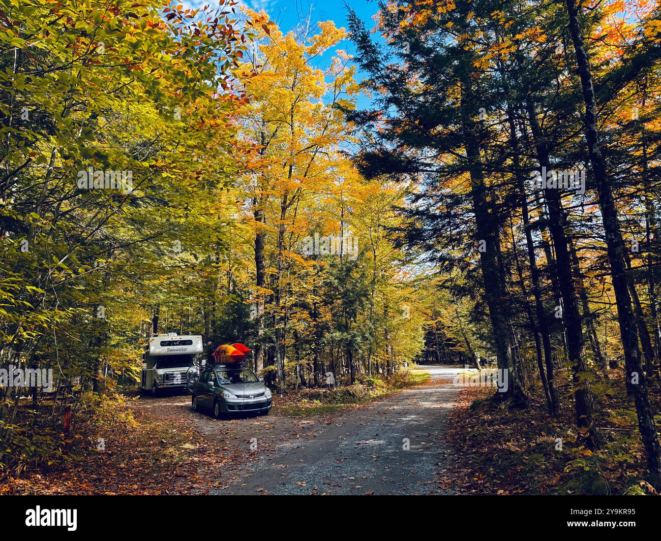 Camping dans la forêt à l'automne - voiture et camping-car sous les arbres. Kayaks sur le toit de la voiture Banque D'Images