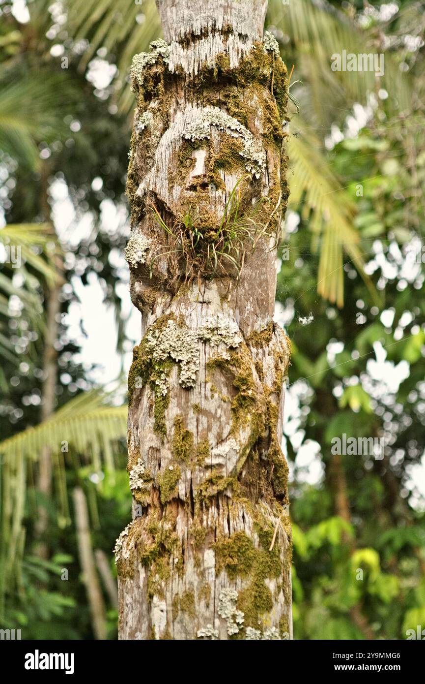 Un totem dans le village de Nanga Raun, Kalis, Kapuas Hulu, Kalimantan occidental, Indonésie. Banque D'Images