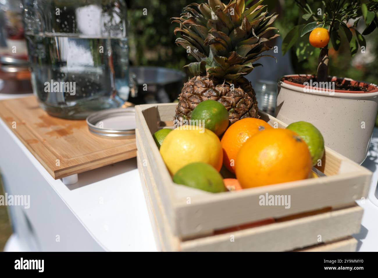 Faible profondeur de champ (mise au point sélective) détails avec ananas, citrons, citron vert et oranges sur une barre de limonade. Banque D'Images