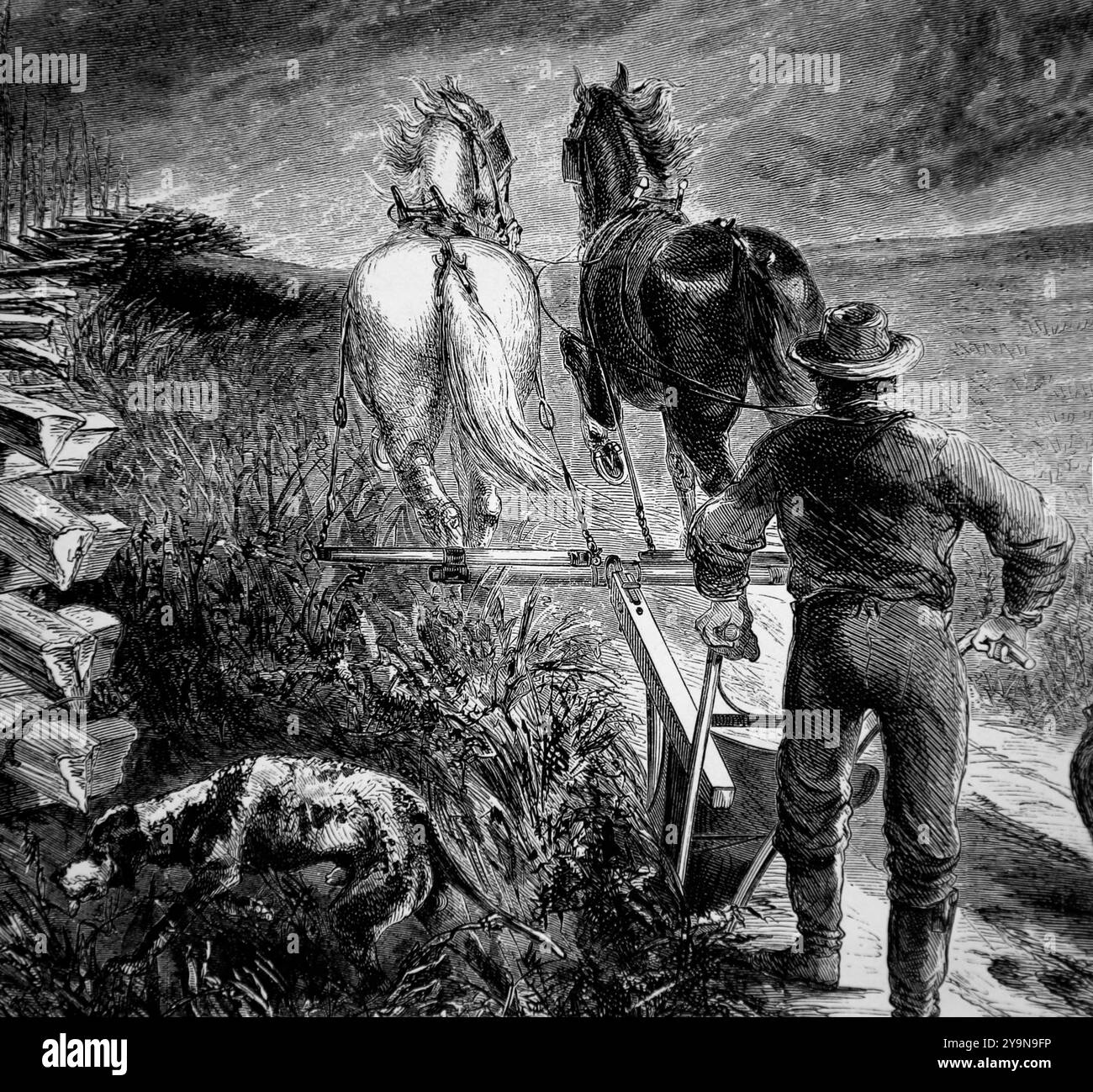 ÉTATS-UNIS. Un fermier du Kansas labourant ses terres pour la première fois avec des chevaux. Gravure de Theodore R. Davis. Harper's Weekly, 1868. Banque D'Images