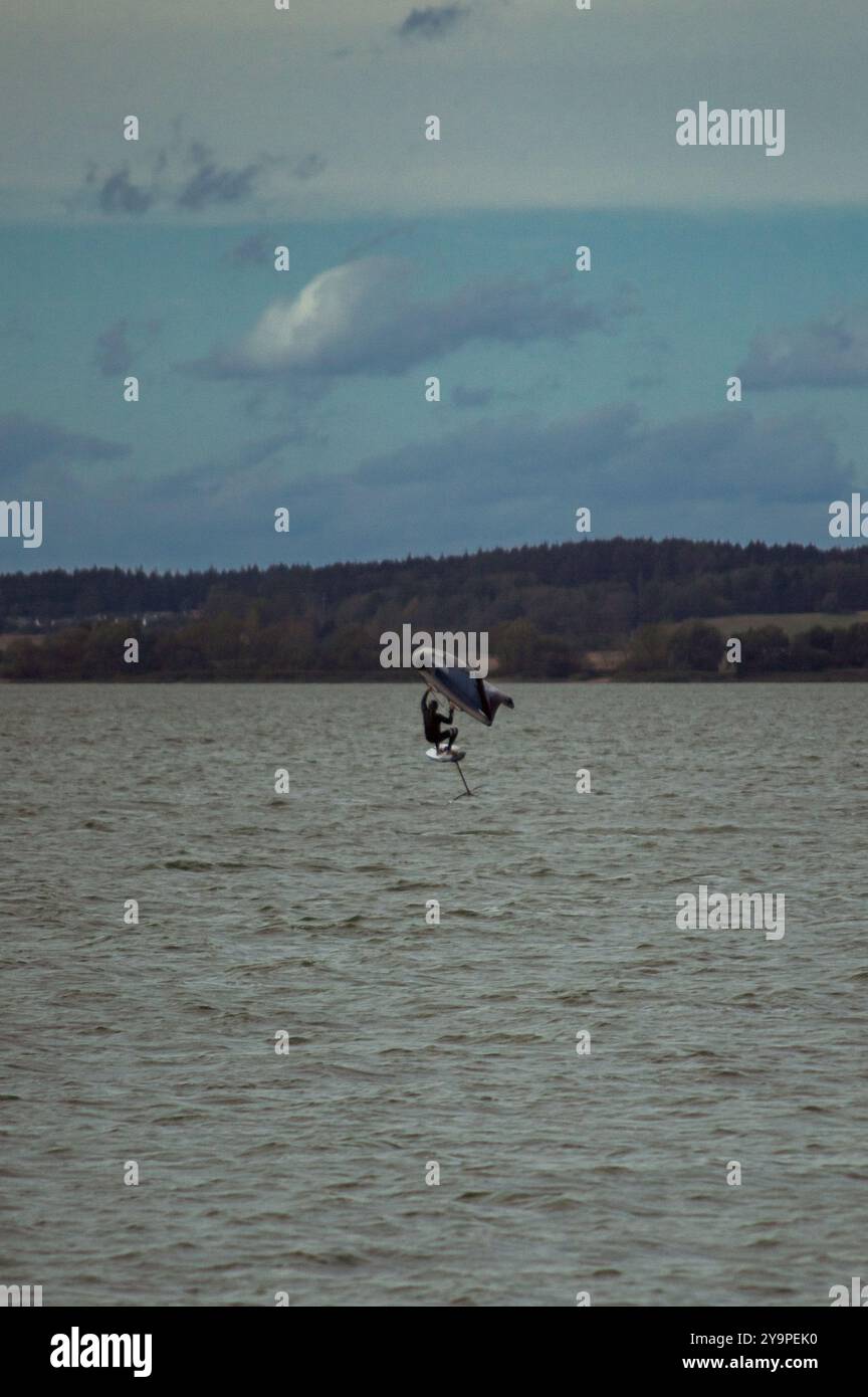 Rider de fleuret d'aile dans le lac. Banque D'Images