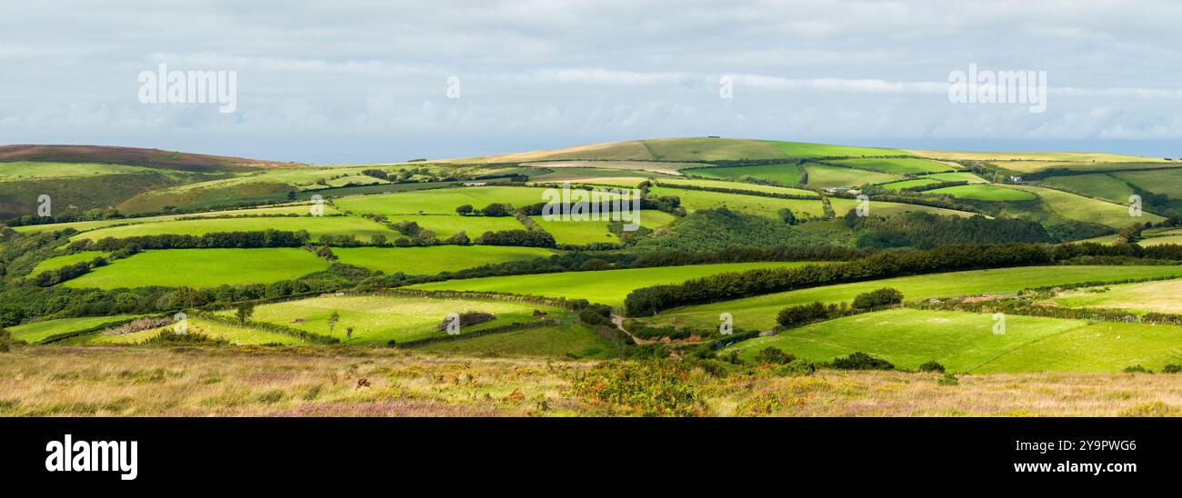 La vue sur les collines ondoyantes d'Exmoor vers Countisbury Common depuis Shilstone Hill, près de Brendon, Devon, Angleterre. Banque D'Images