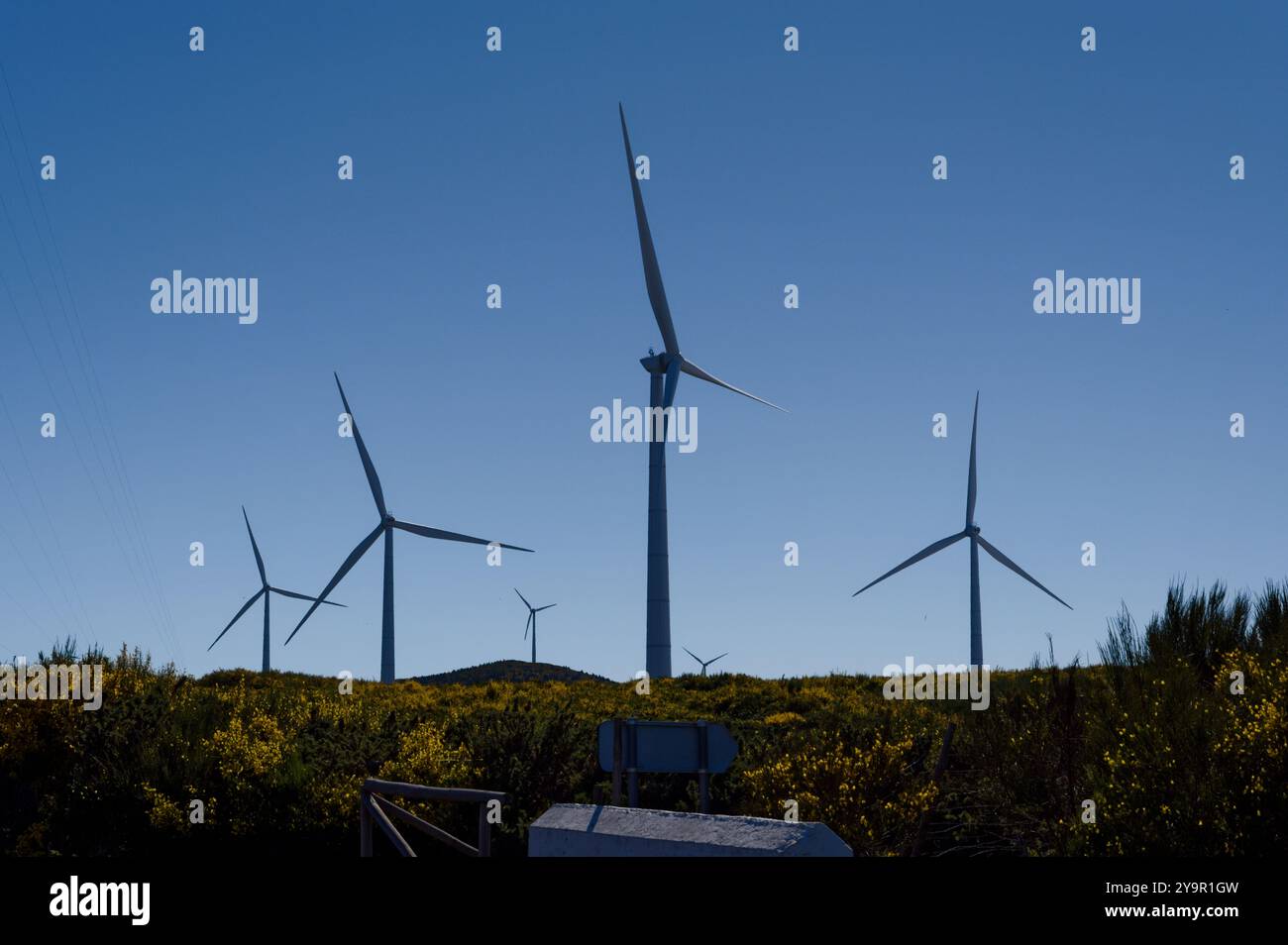 Éoliennes hautes au-dessus du paysage luxuriant de Madère, de la nature et de la technologie portugaises Banque D'Images