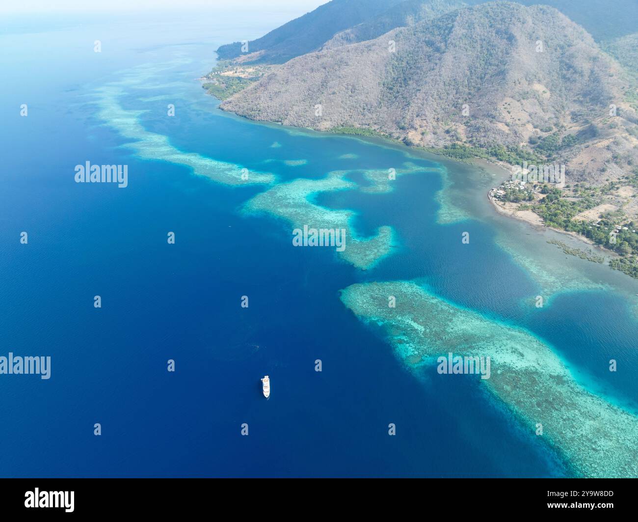 Un récif corallien magnifique et sain entoure une île volcanique au large de Flores, en Indonésie. Cette région est connue pour sa grande biodiversité marine. Banque D'Images