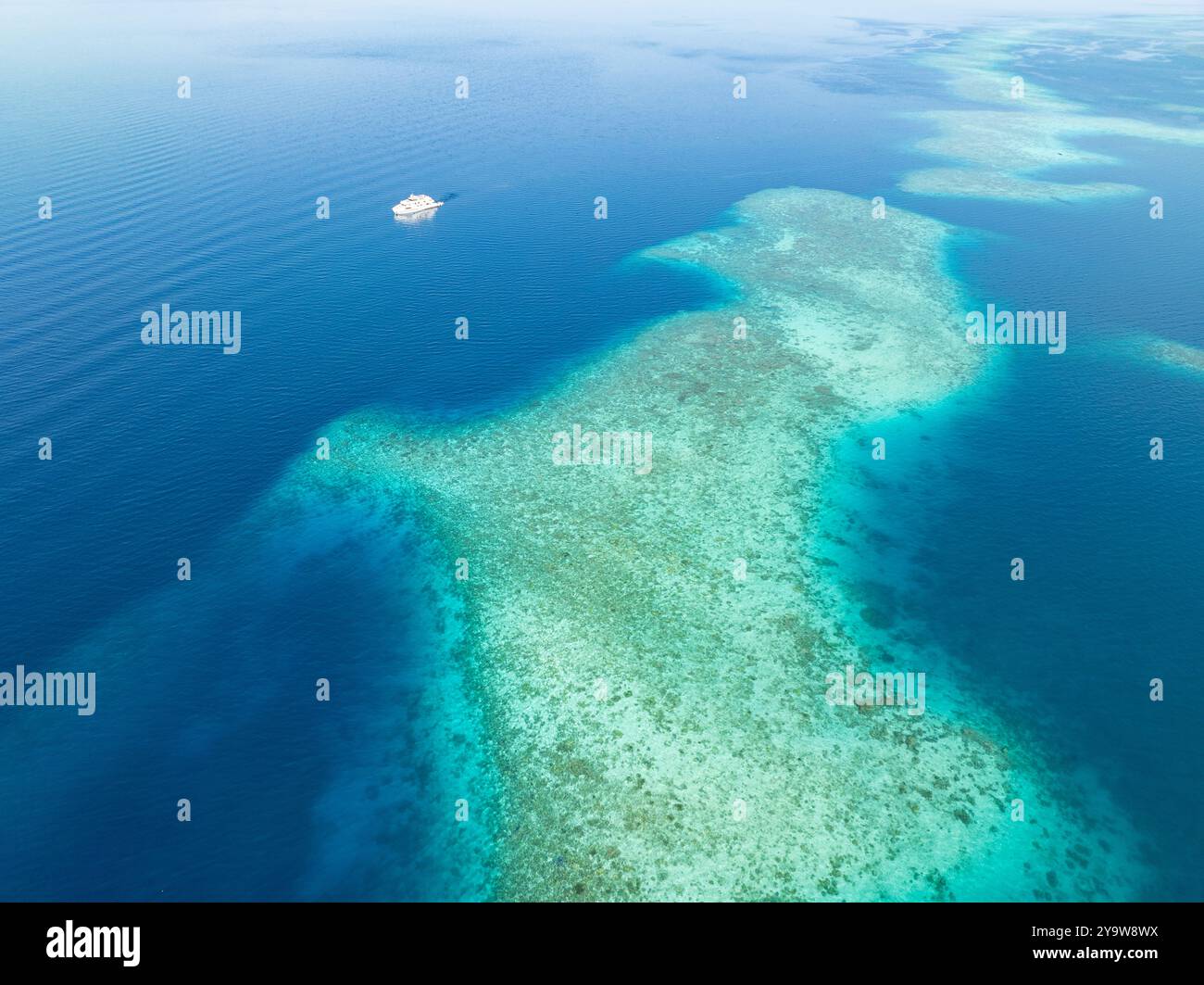 Un récif corallien magnifique et sain entoure une île volcanique au large de Flores, en Indonésie. Cette région est connue pour sa grande biodiversité marine. Banque D'Images