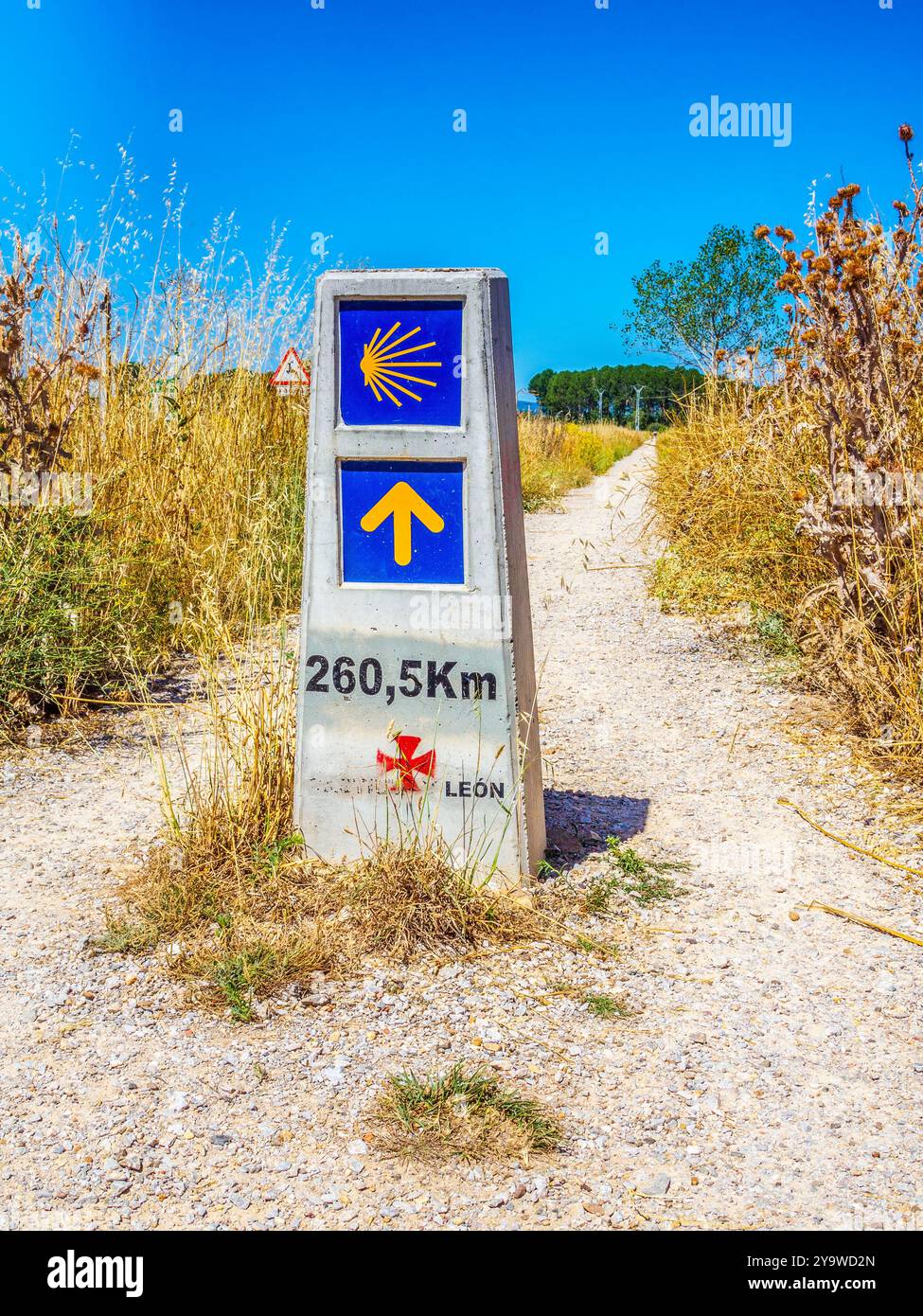 Un jalon Camino de Santiago indiquant 260,5 km restants. Le marqueur guide les pèlerins à travers un paysage rural sec sous un ciel bleu clair. Banque D'Images