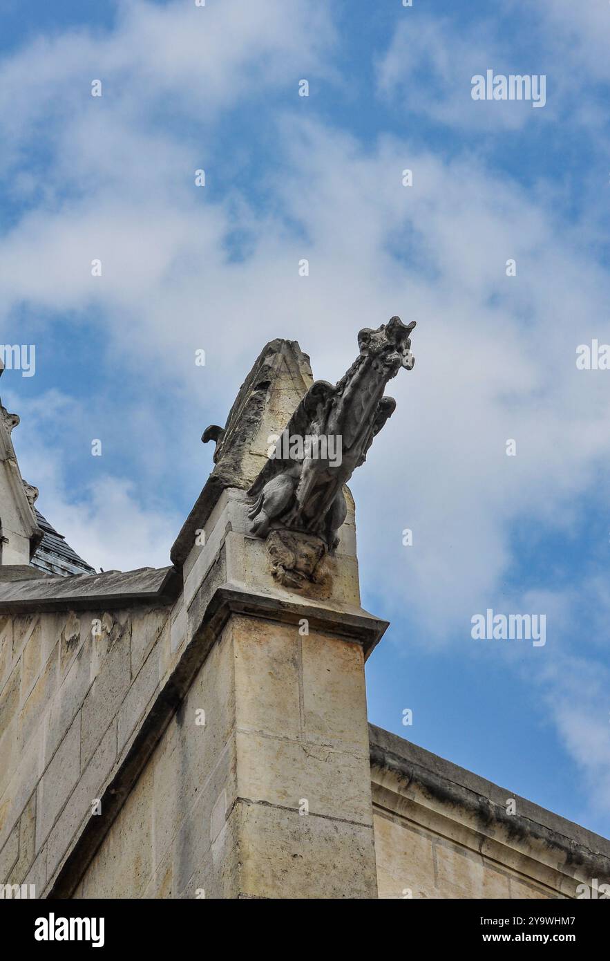 Gargouille Ghotic, Saint-Étienne-du-Mont, église catholique à Paris, sur la montagne Sainte-Geneviève, près du célèbre monument du Panthéon Banque D'Images