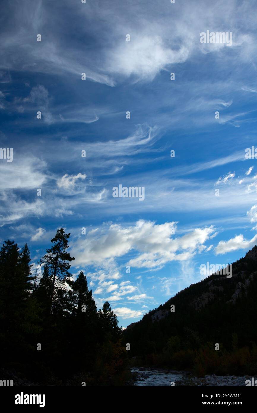 Nuages le long de la piste de la rivière Dearborn, Scapegoat Wilderness, Lewis et Clark National Forest, Montana Banque D'Images