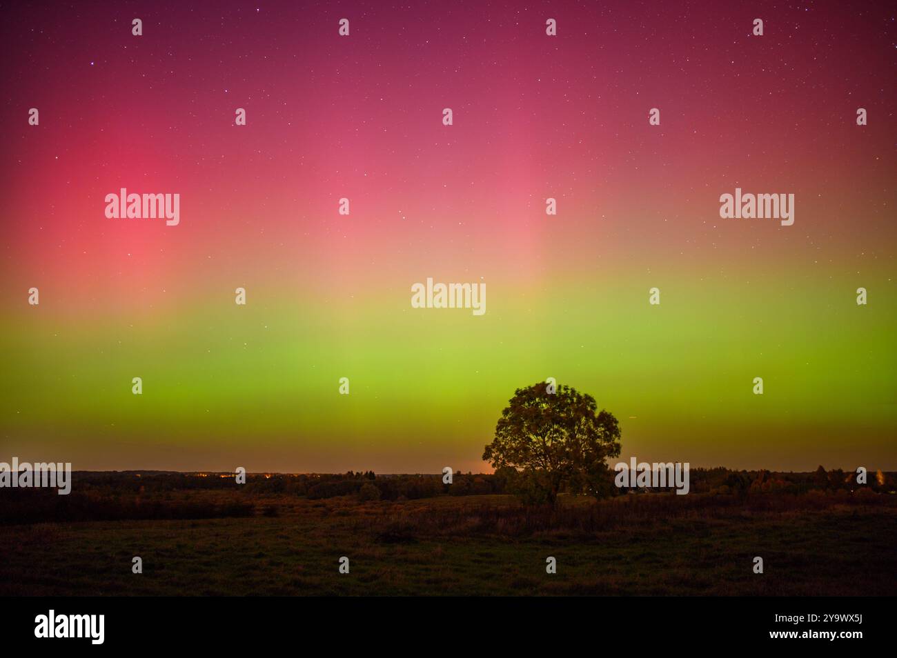 Les superbes aurores boréales illuminent le ciel nocturne avec des couleurs vives, créant un spectacle naturel fascinant dans les champs de Lituanie 10 11 2024 Perfec Banque D'Images