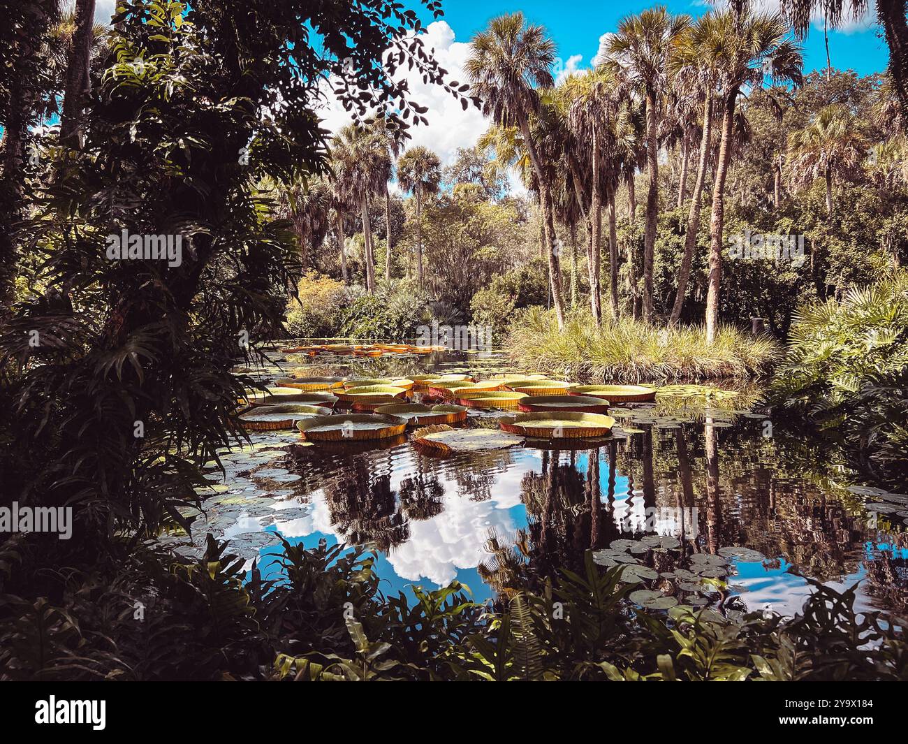 Bok Tower Gardens, Florida, USA Banque D'Images
