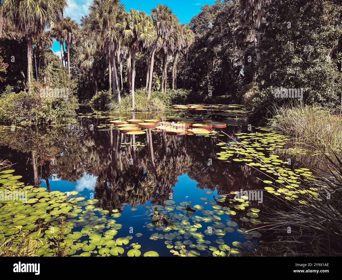 Bok Tower Gardens, Florida, USA Banque D'Images