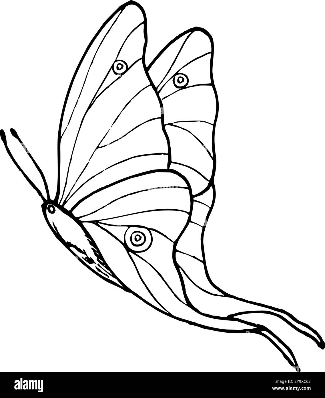 Illustration vectorielle de papillon tropical volant monochrome mignon dans un style abstrait. Dessin noir et blanc d'insecte décoratif peint par des encres. Illustration de Vecteur