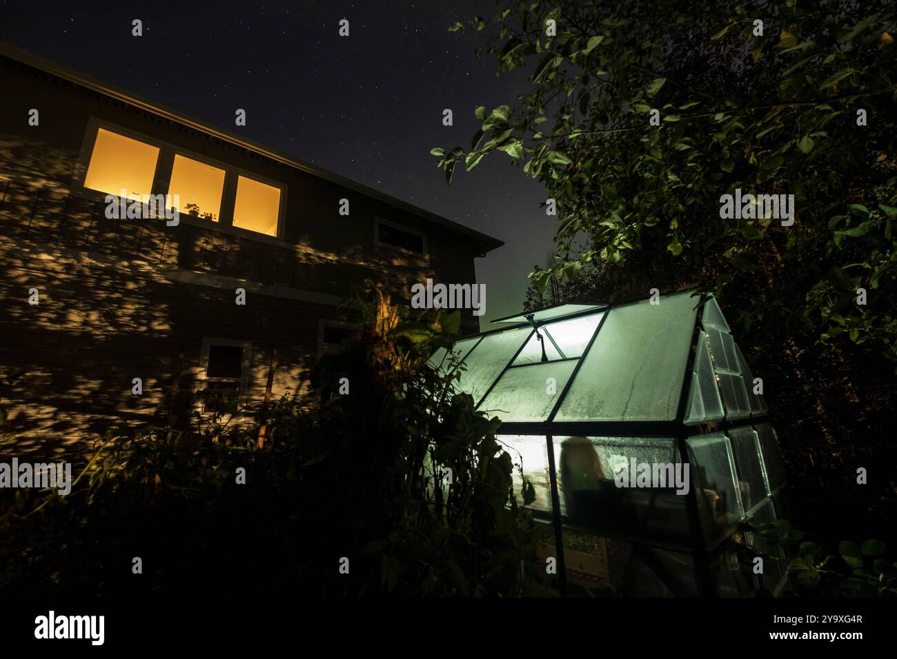 Aurores boréales brillantes dans le ciel nocturne au-dessus d'une serre dans une maison de banlieue Banque D'Images