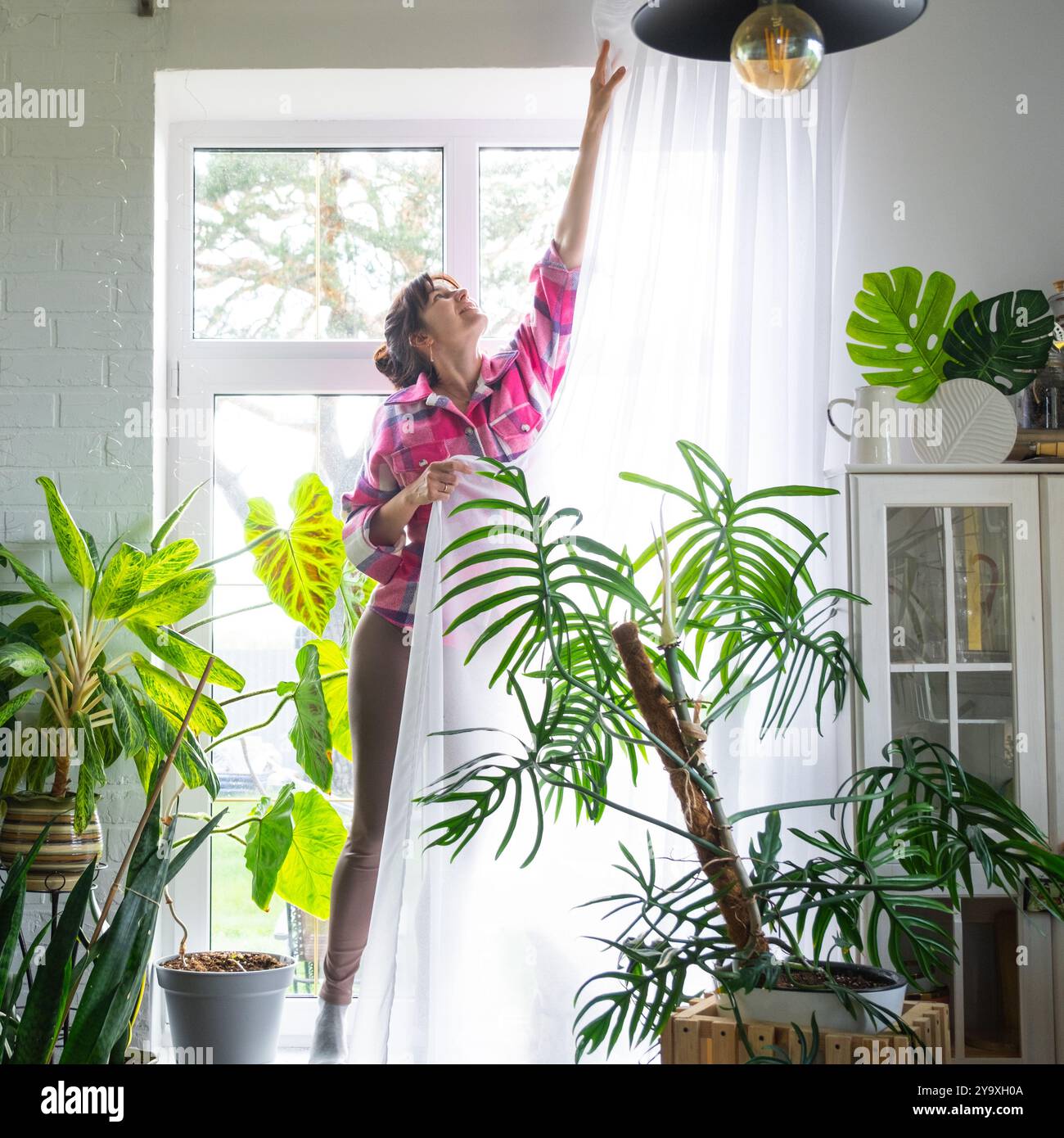 Femme accroche des rideaux de tulle transparents sur de grandes fenêtres dans la maison à l'intérieur. Nettoyage de printemps, rangement Banque D'Images