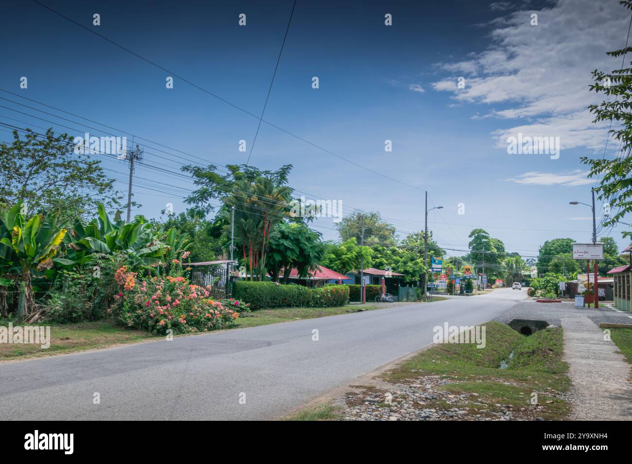 Rue résidentielle sereine à Uvita, Costa Rica Banque D'Images