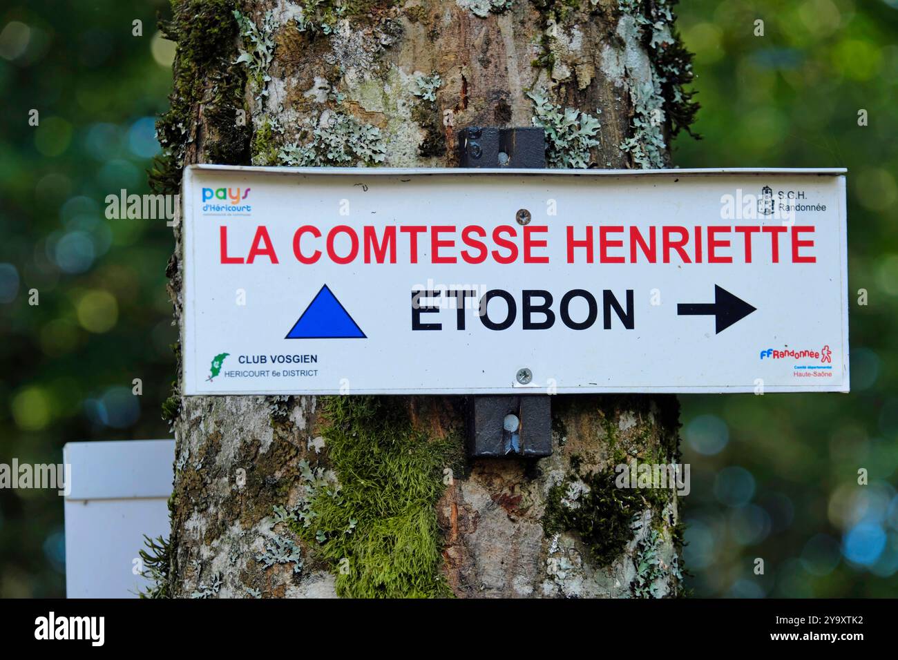 France, haute Saône, Etobon, forêt, circuit de la comtesse Henriette, panneau Banque D'Images