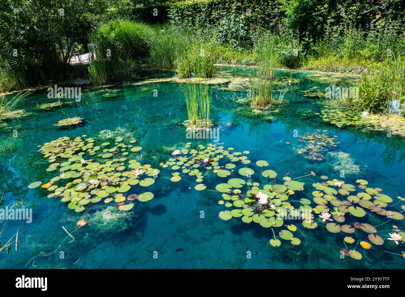 France, Loir-et-cher (41), vallée de la Loire, classée au patrimoine mondial de l'UNESCO, Chaumont-sur-Loire, domaine de Chaumont-sur-Loire, festival international des jardins 2024 Banque D'Images