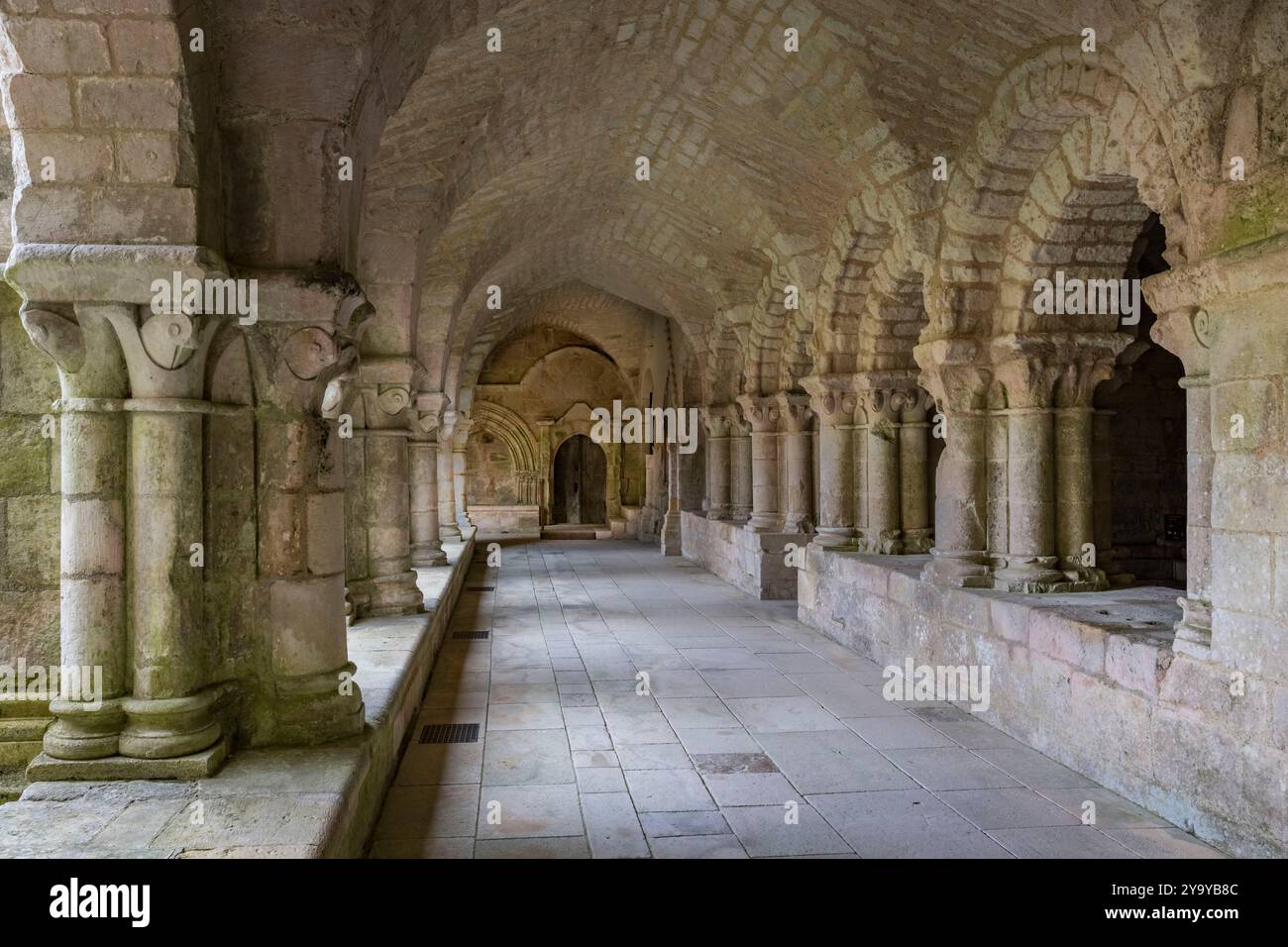 France, Vendée, Nieul sur l'Autise, abbaye royale Saint-Vincent fondée en 1069, abrite le tombeau d'Aénor de Châtelleraut, mère d'Aliénor d'Aquitaine, le cloître et la maison capitulaire à droite Banque D'Images