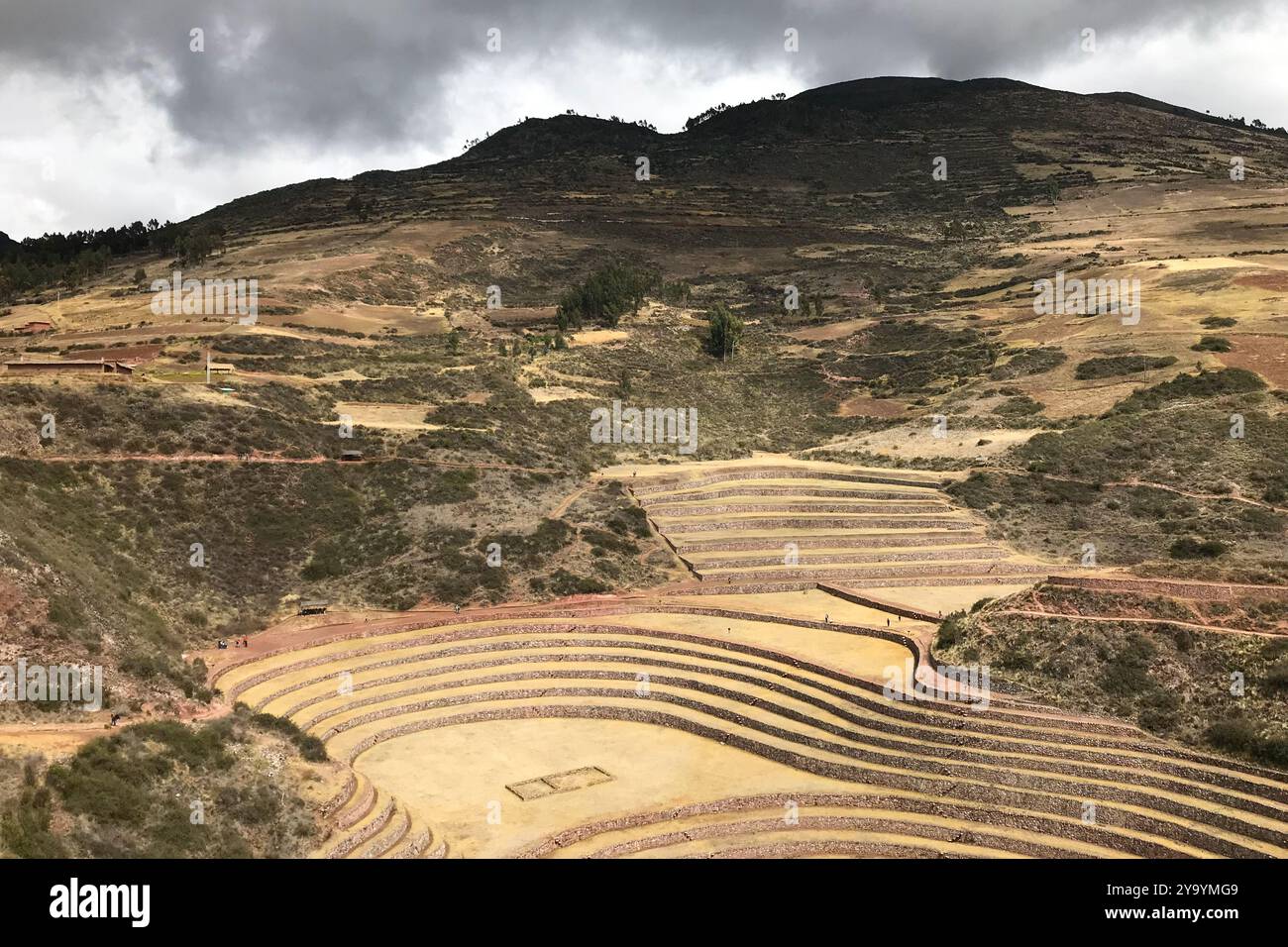 Anciennes terrasses agricoles. Moray, vallée d'Urubamba, PÉROU Banque D'Images