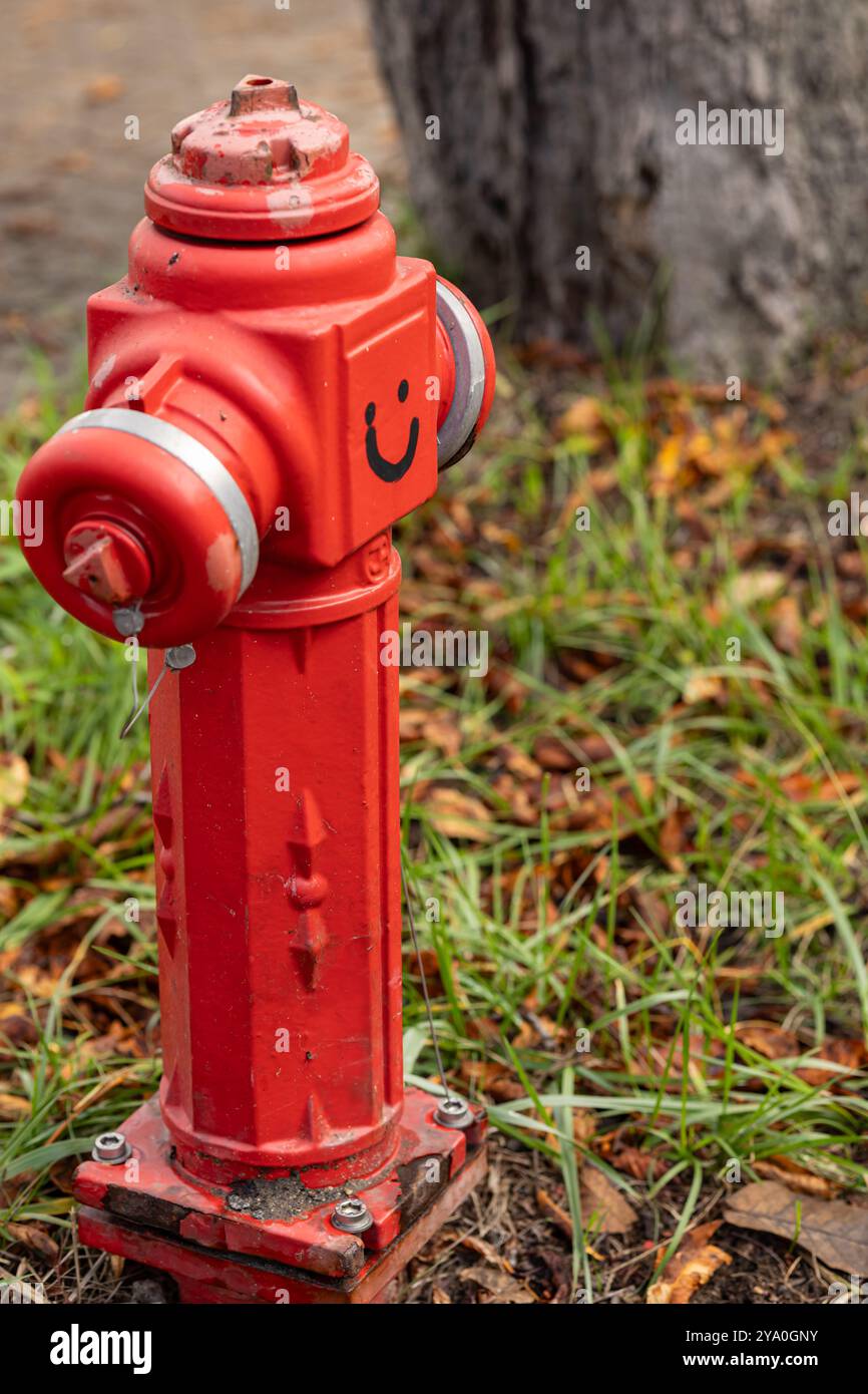 Bouche d'incendie rouge avec un visage souriant joyeux dessin dans le parc. Concept d'éléments urbains avec des touches créatives et des infrastructures de sécurité publique Banque D'Images