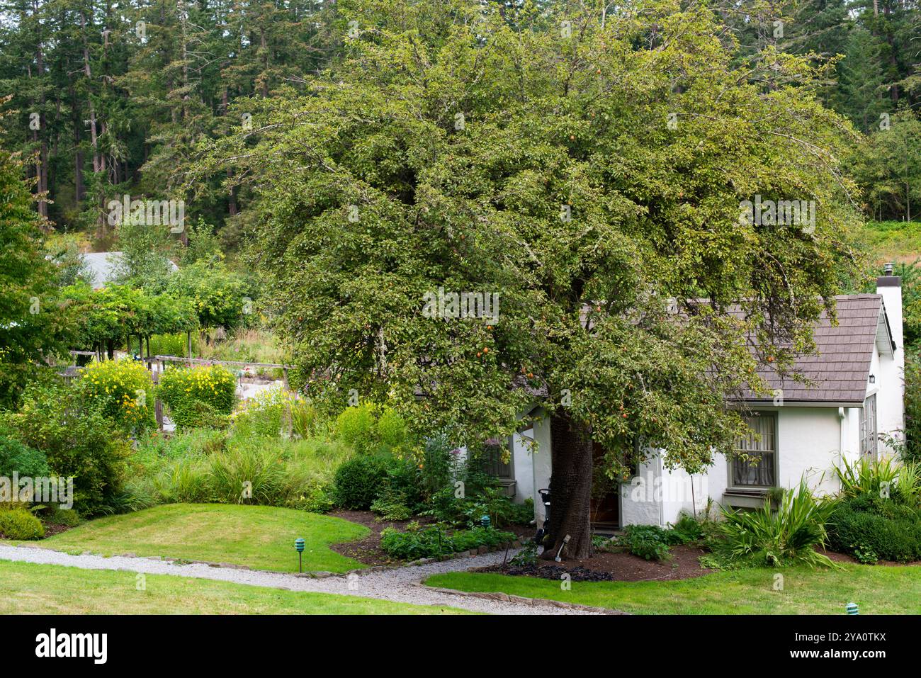 Hastings House sur Salt Spring Island, Colombie-Britannique, Canada Banque D'Images