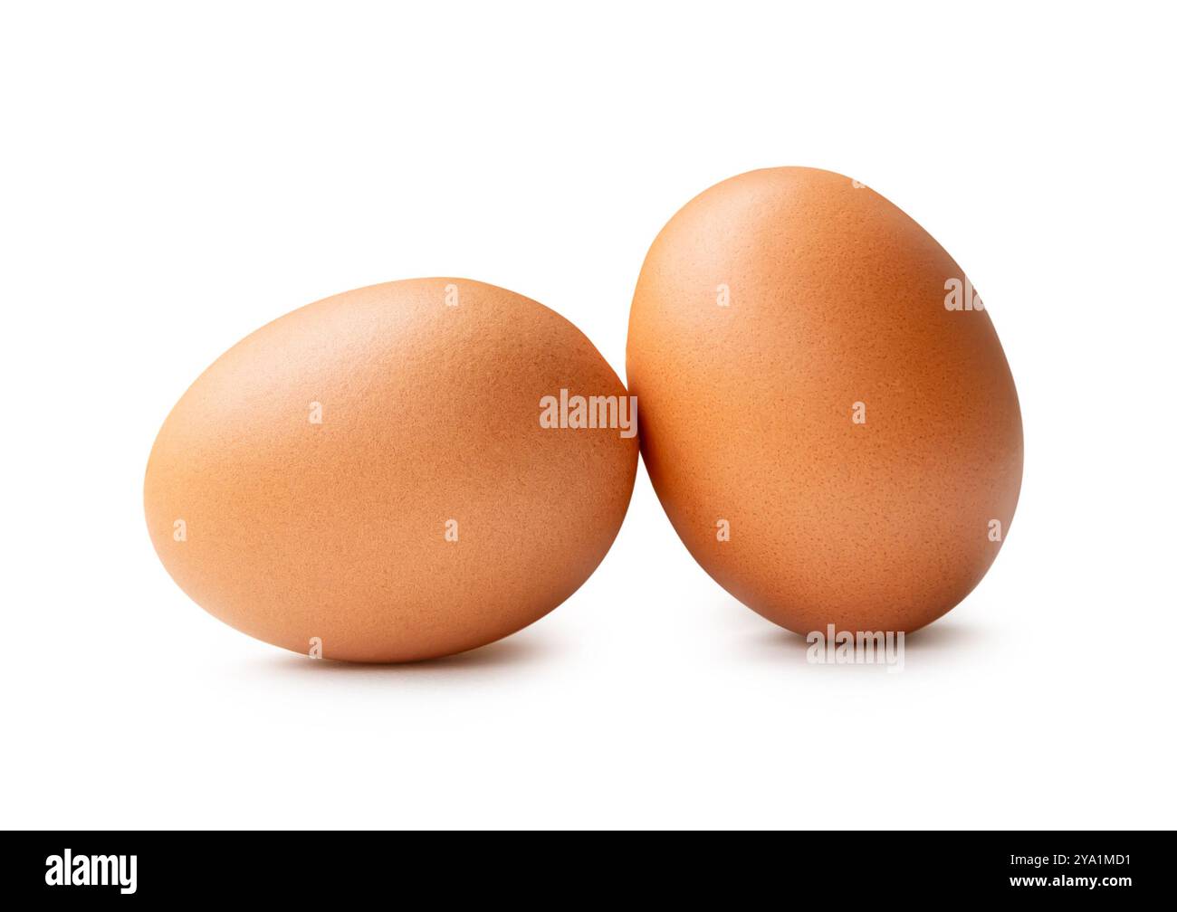 Vue latérale de deux œufs de poule brun frais dans la pile est isolé sur fond blanc avec chemin de découpage. Banque D'Images