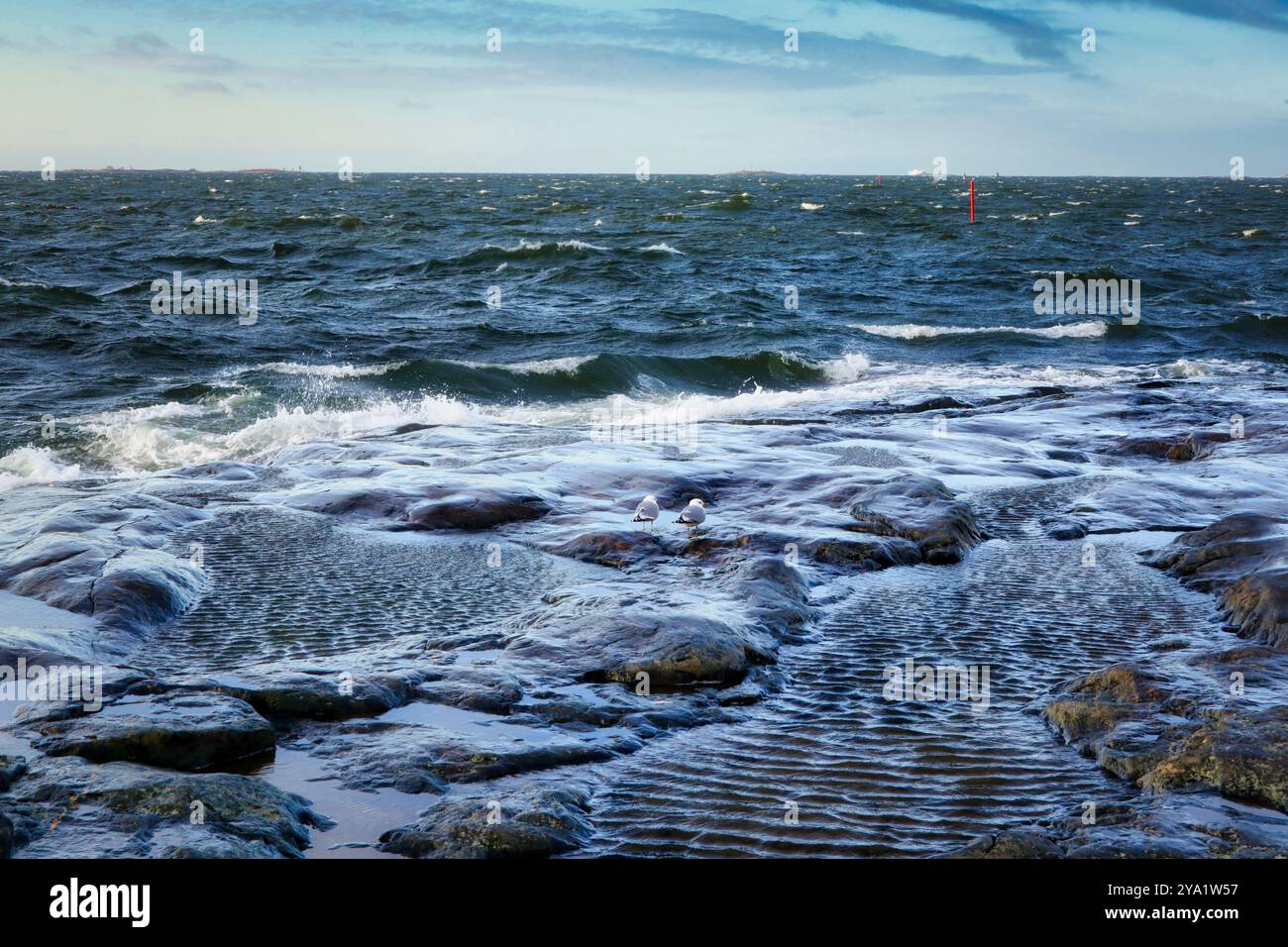 Vue vers l'horizon avec des vagues qui s'écrasent et deux mouettes regardant la mer. Finlande. Avril 2021. Banque D'Images